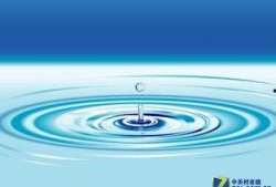 青年水波风水门爆料最新,青年水波风水门最新爆料，揭秘江湖风云再起