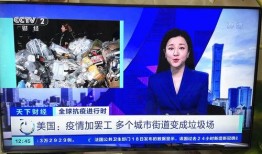 新东方女帝爆料视频播放,揭秘教育行业背后真相