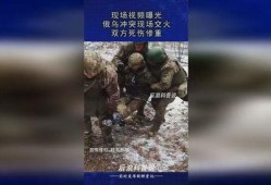 乌俄冲突爆料视频,揭秘爆料视频背后的真相