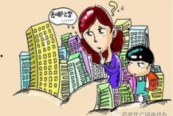 石家庄学区爆料公告最新,学区划分调整与入学政策详解