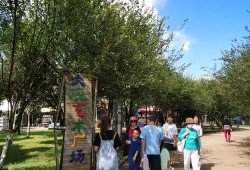 昆明旅游最新爆料